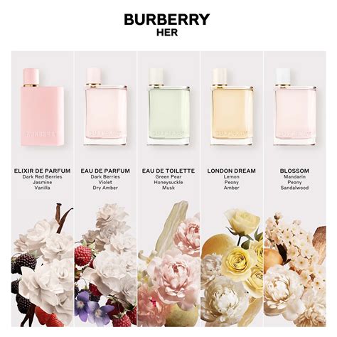 burberry her vs london dream|burberry her london dream fragrantica.